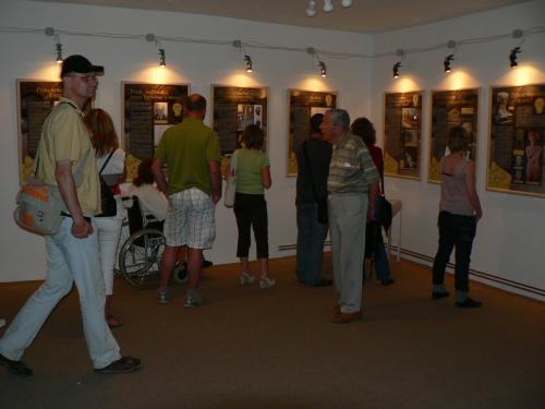 Návštěvníci si mohli o originálu keltské hlavy prostudovat všechny informace na panelech ve výstavě
