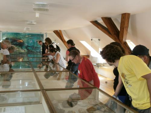 Geologové navštívili expozici muzea ve Sklryjích